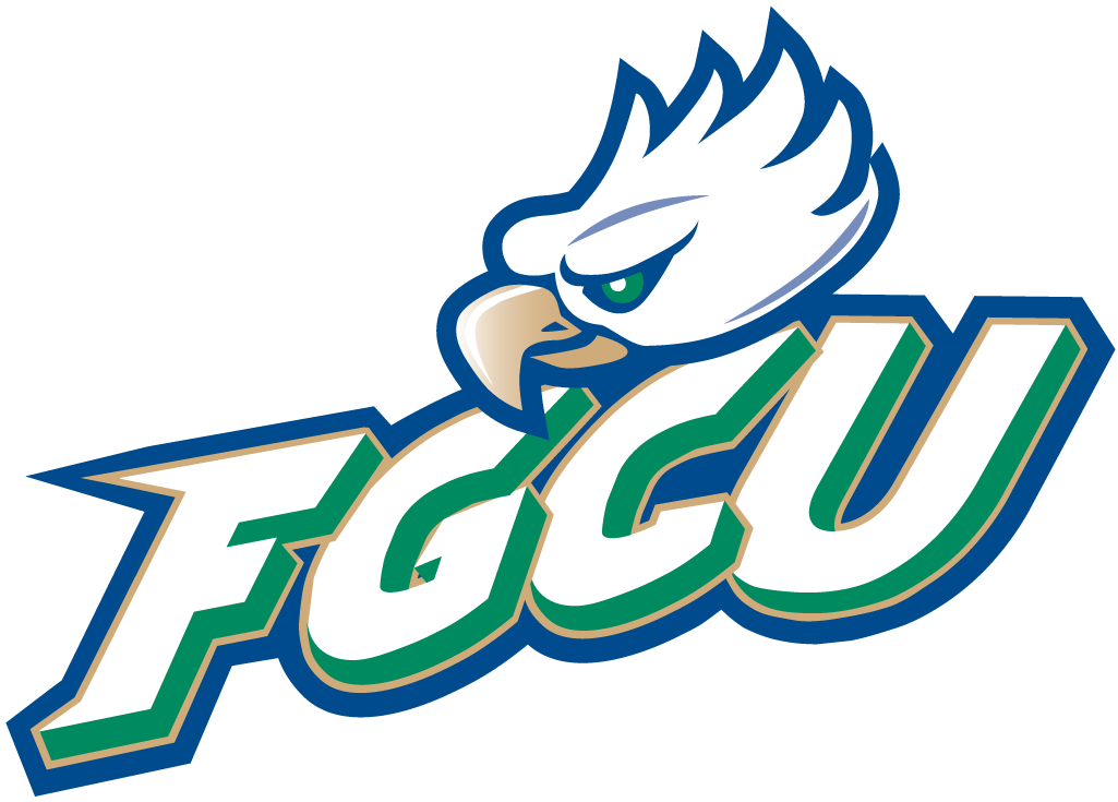 Florida Gulf Coast Eagles 2002-Pres Primary Logo diy iron on heat transfer